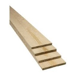 H3 TREAT PINE PALING 100X16X1800